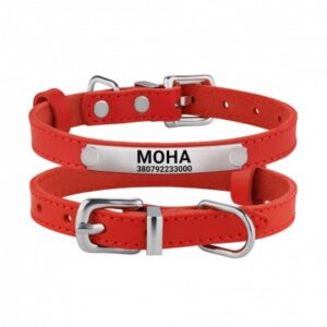Нашийник для Котів Шкіряний з Гравіюванням